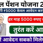 Atal Pension Yojana 2024: अटल पेंशन योजना के तहत मिलेगी हर माह 5000 रुपए की पेंशन, जानिए कैसे करना होगा आवेदन