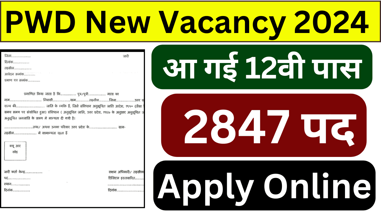 PWD New Vacancy 2024