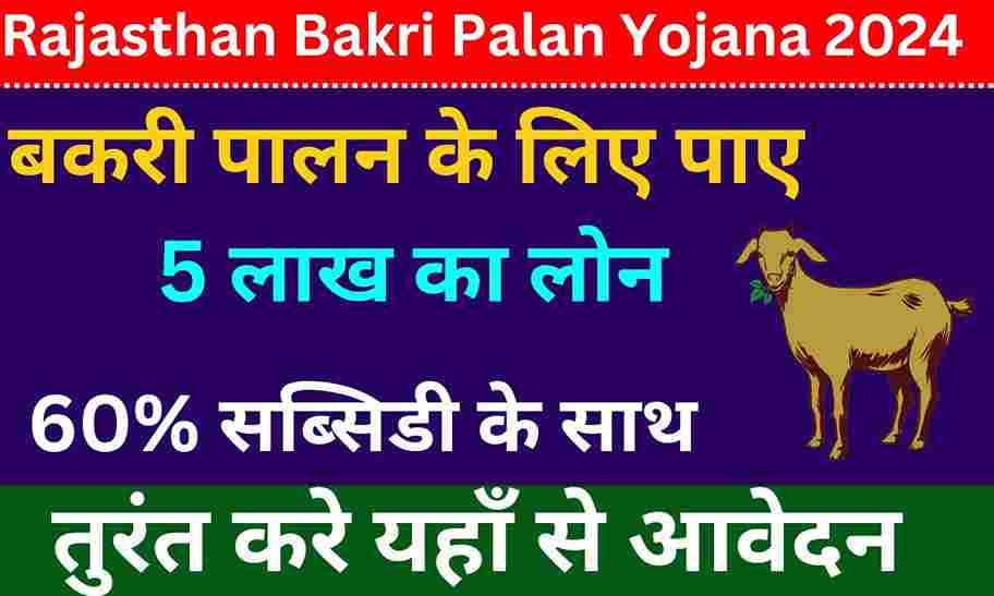 Rajasthan Bakri Palan Yojana 2024: बकरी पालन के लिए सरकार देगी 5 लाख का लोन, मिलेगी 60% तक की सब्सिडी